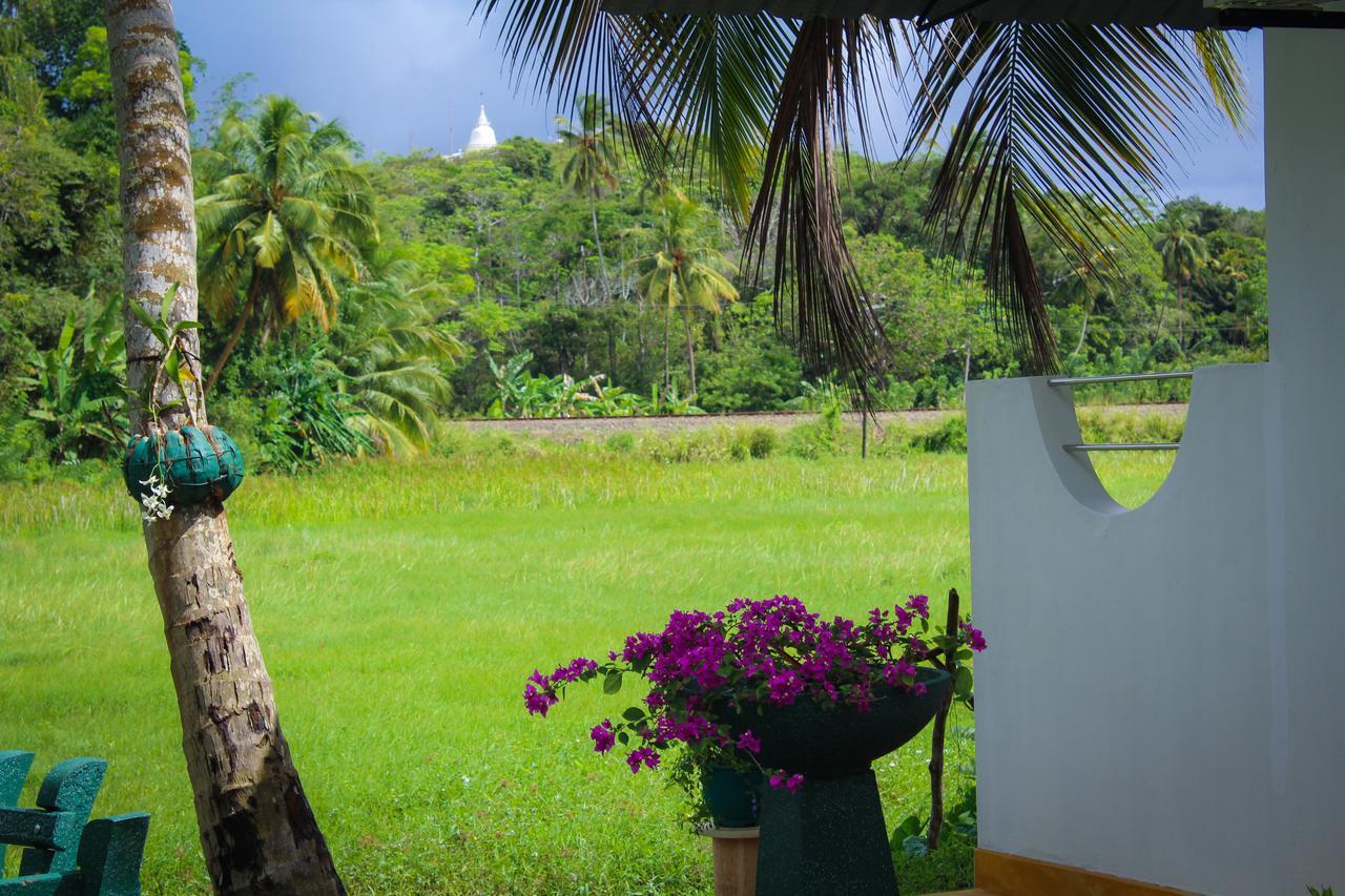 Paddy Field View Resort Mirissa Zewnętrze zdjęcie